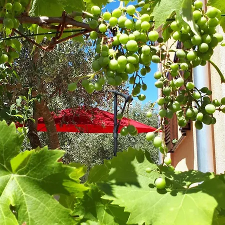 Ulika - Kuca Za Odmor 아파트