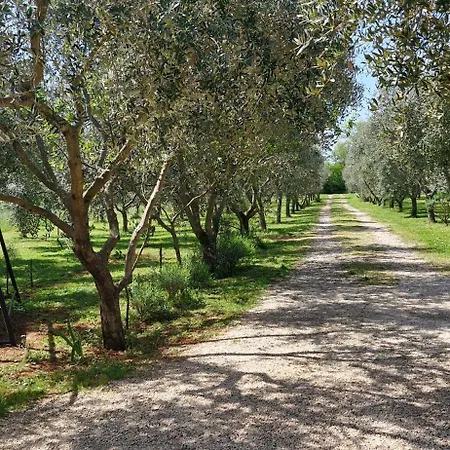 Ulika - Kuca Za Odmor * Valtura