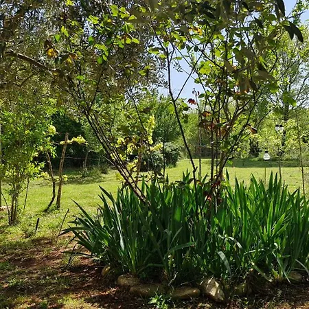 Ulika - Kuca Za Odmor Apartament Valtura