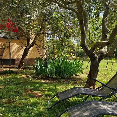 Apartament Ulika - Kuca Za Odmor *