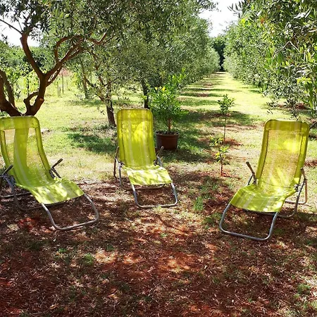 Apartament Ulika - Kuca Za Odmor *